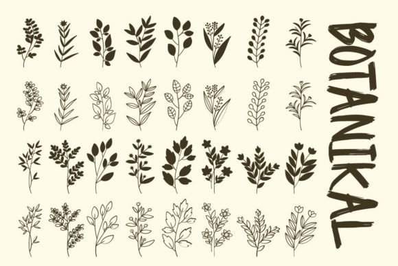 Botanikal: A Web Designer’s Review of This Botanical Dingbats Font