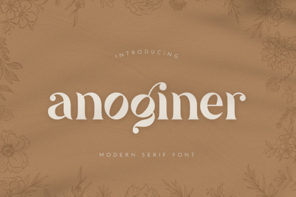 Choosing Anoginer for a Boutique Brand: A Web Designer’s Look at Serif Readability