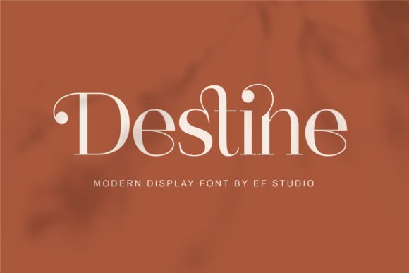 Destine Serif Font: A Stylish Upgrade for Small Business Branding