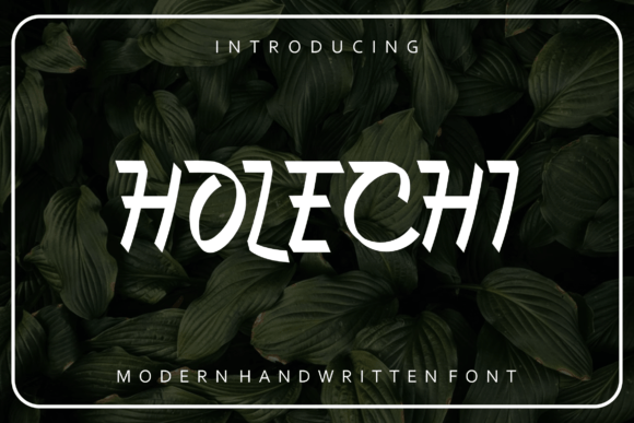Holechi: A Slab Serif Font for Web Designers