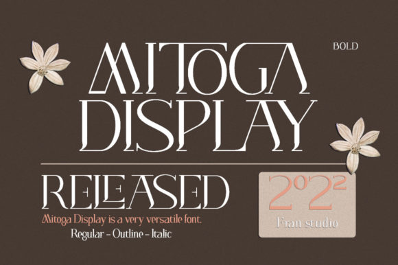 Mitoga Display: A Serif Typeface Built for Modern Web Design