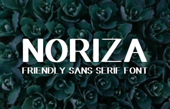 Noriza: A Sans Serif Font for Thoughtful Editorial Design