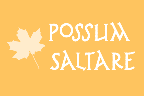 Possum Saltare Brings Playful Charm to Editorial Design