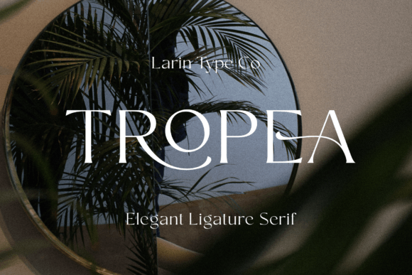 Tropea: The Serif Font That Gave My Small Bakery a Brand Upgrade