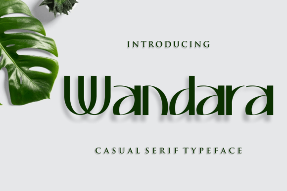 Wandara Font Review: A Slab Serif for Editorial Storytelling